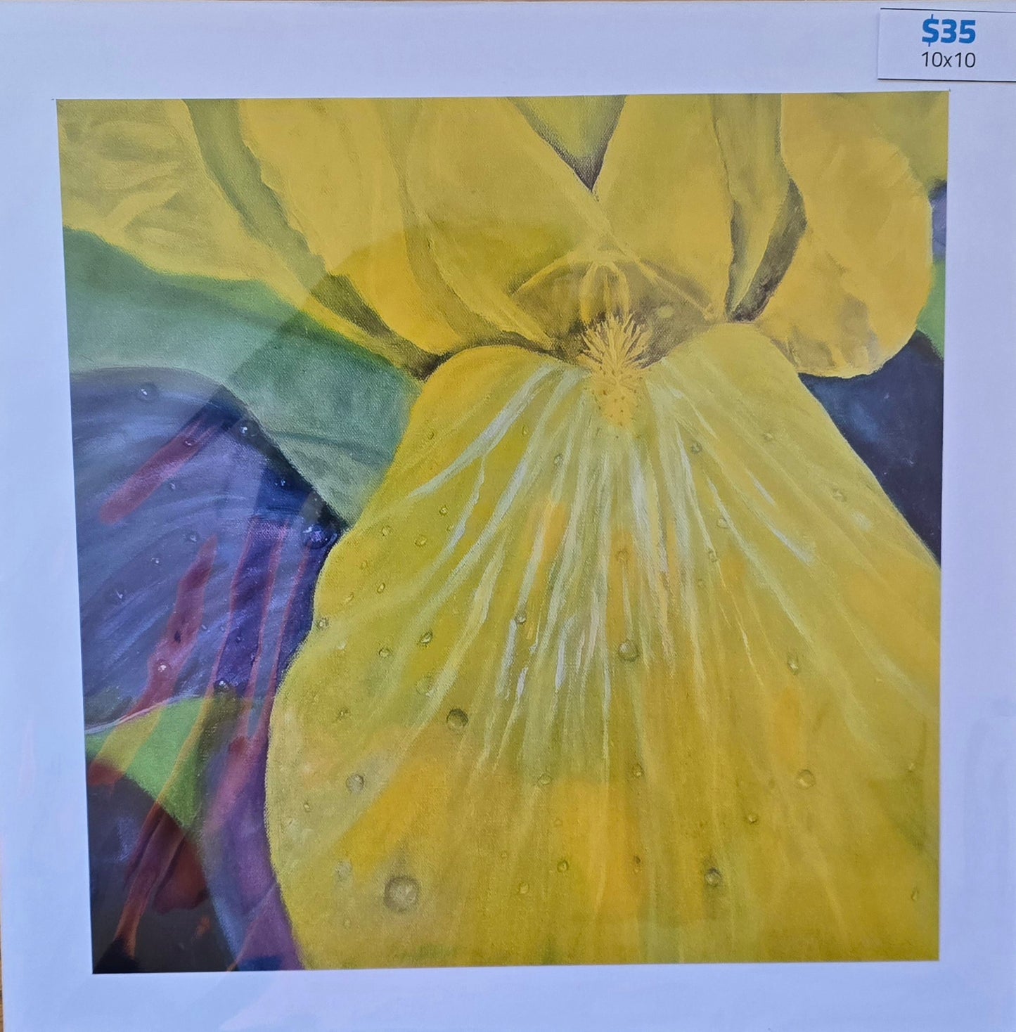 Title:  Spring Blossoms: Yellow Iris (Print)