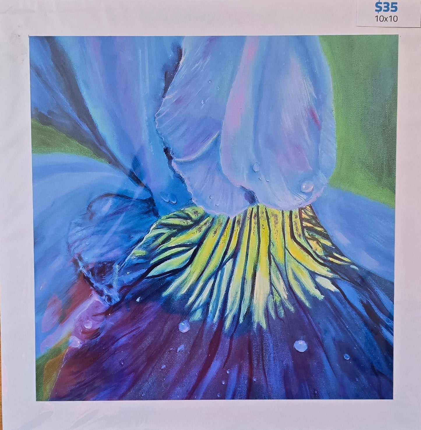 Title:  Spring Blossoms: Blue Iris (Print)