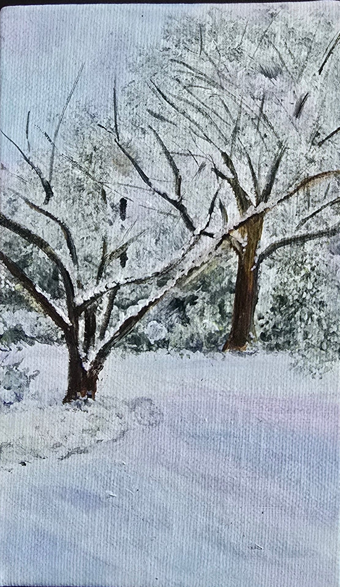 Title: Snowy Trees | 3x5" Linen Panel | Oil Painting