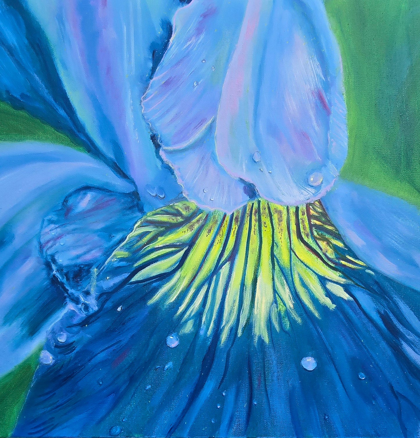 Spring Blossoms: Blue Iris | 20x20" | Oil on Canvas 1.5" in Depth