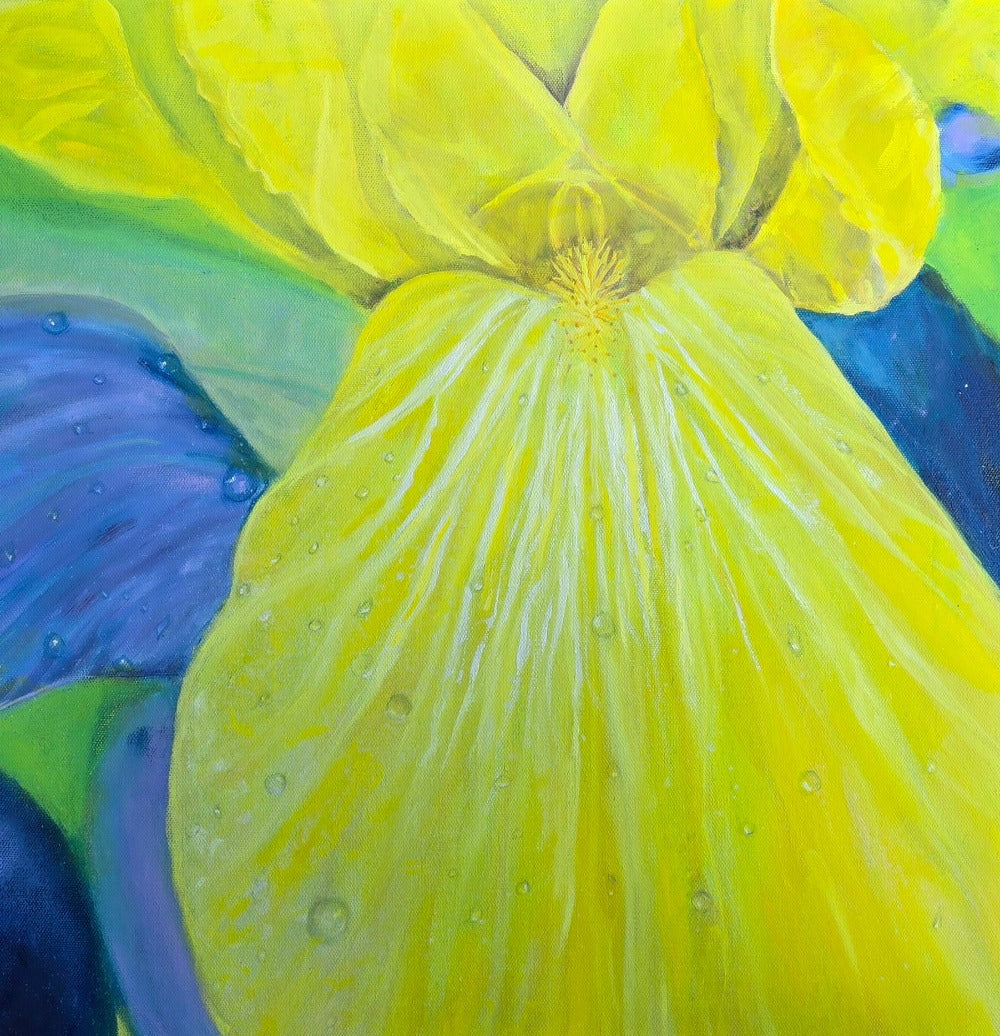 Spring Blossoms: Yellow Iris | 20x20" | Oil on Canvas 1.5" in Depth