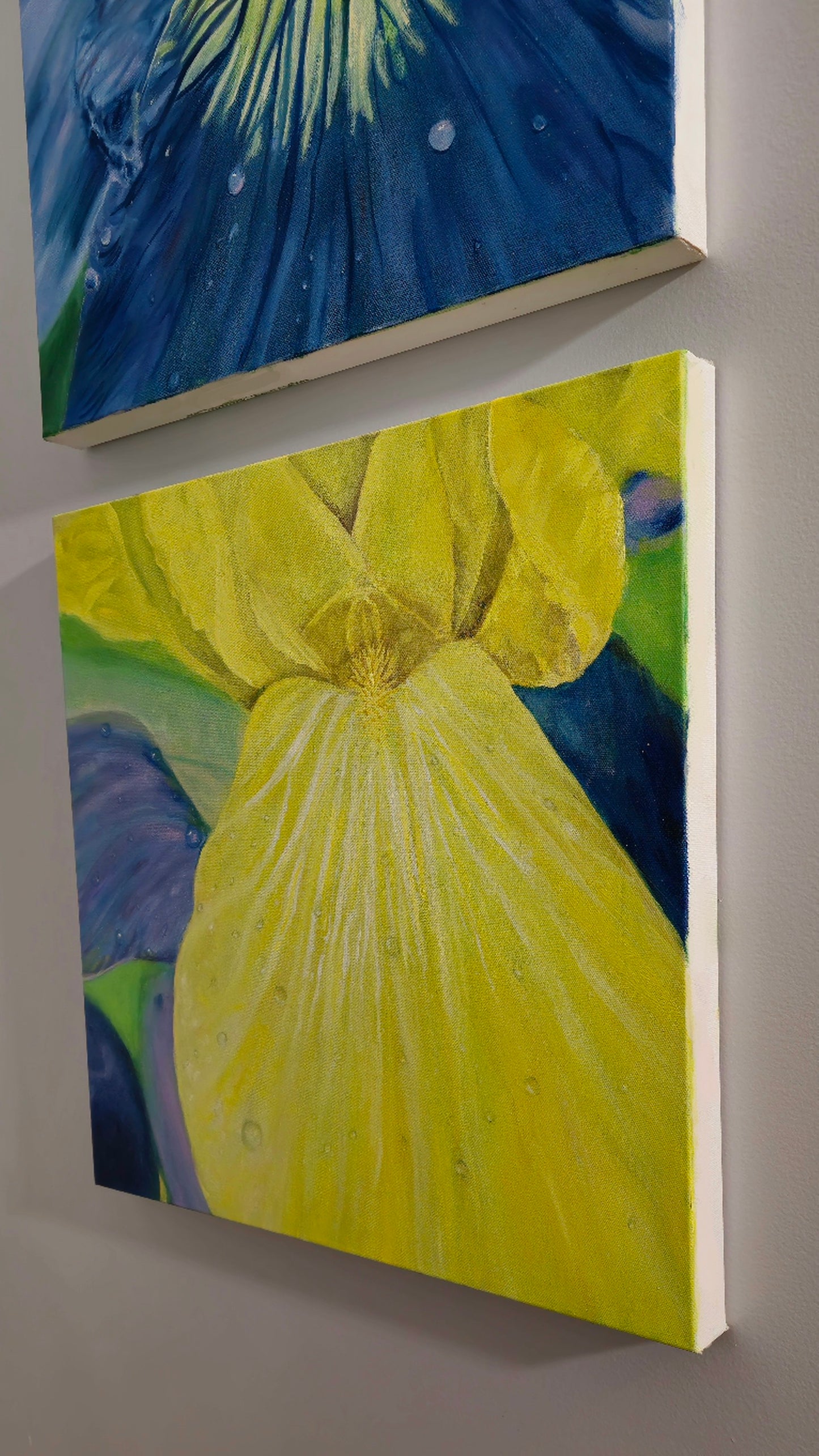 Spring Blossoms: Yellow Iris | 20x20" | Oil on Canvas 1.5" in Depth