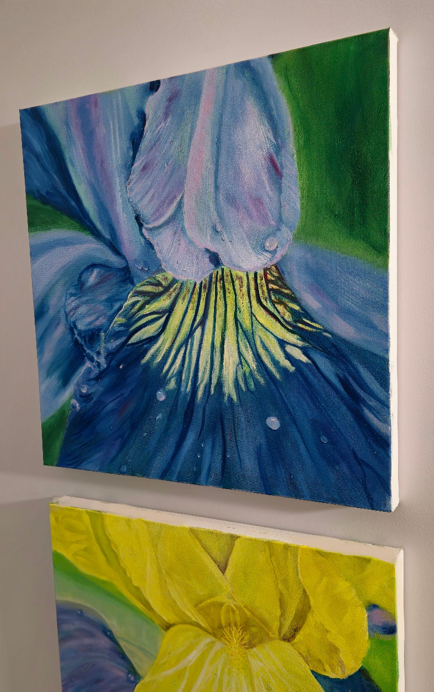 Spring Blossoms: Blue Iris | 20x20" | Oil on Canvas 1.5" in Depth