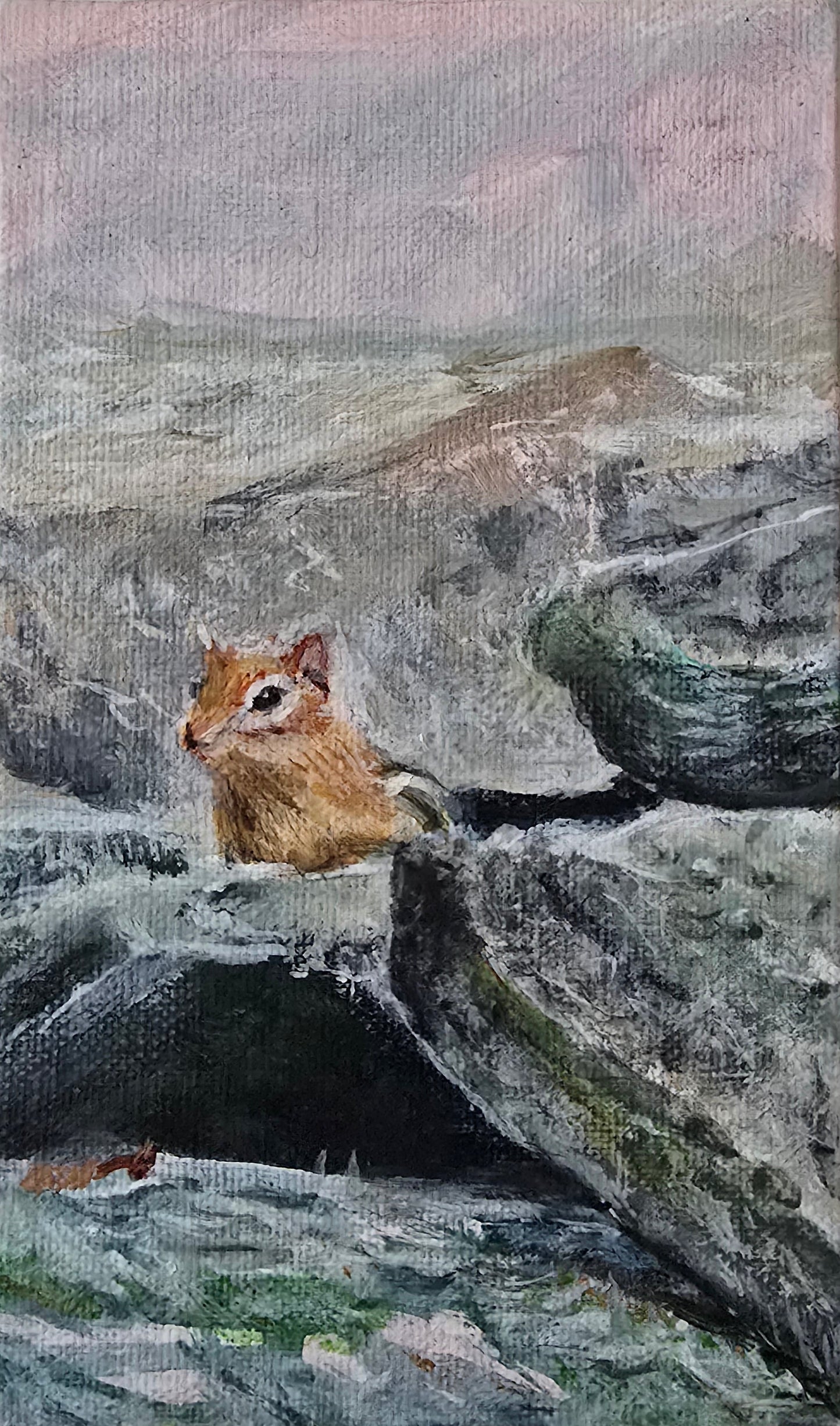 Chipmunk playing around big rocks