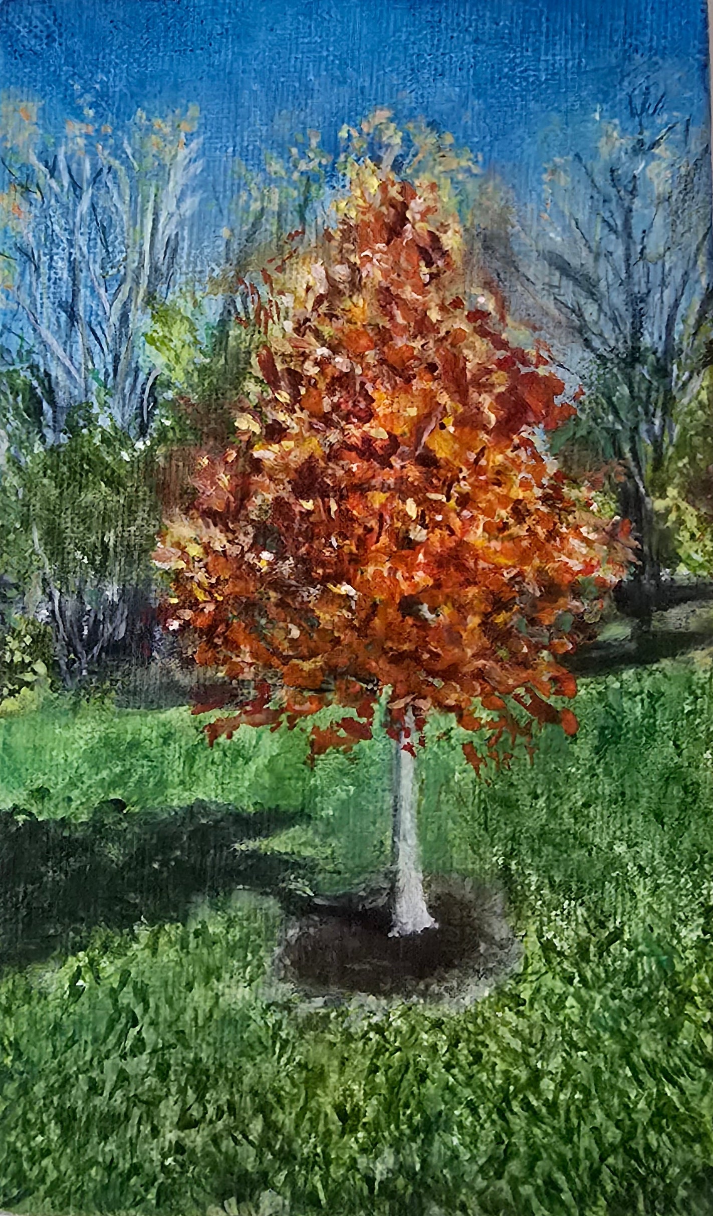 Tree during Fall Season