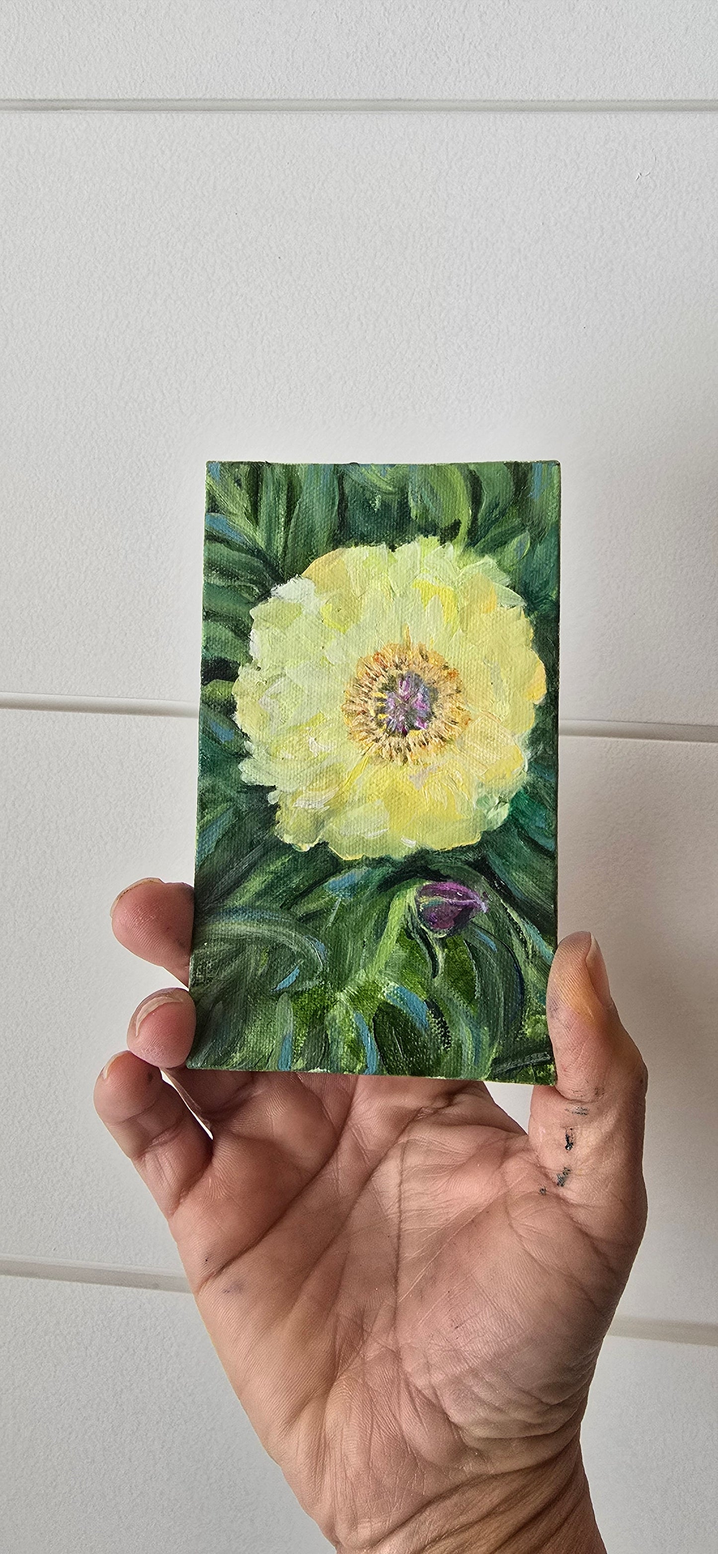 Title: Yellow  Peony Beauty | 3x5" Linen Panel | Oil Painting