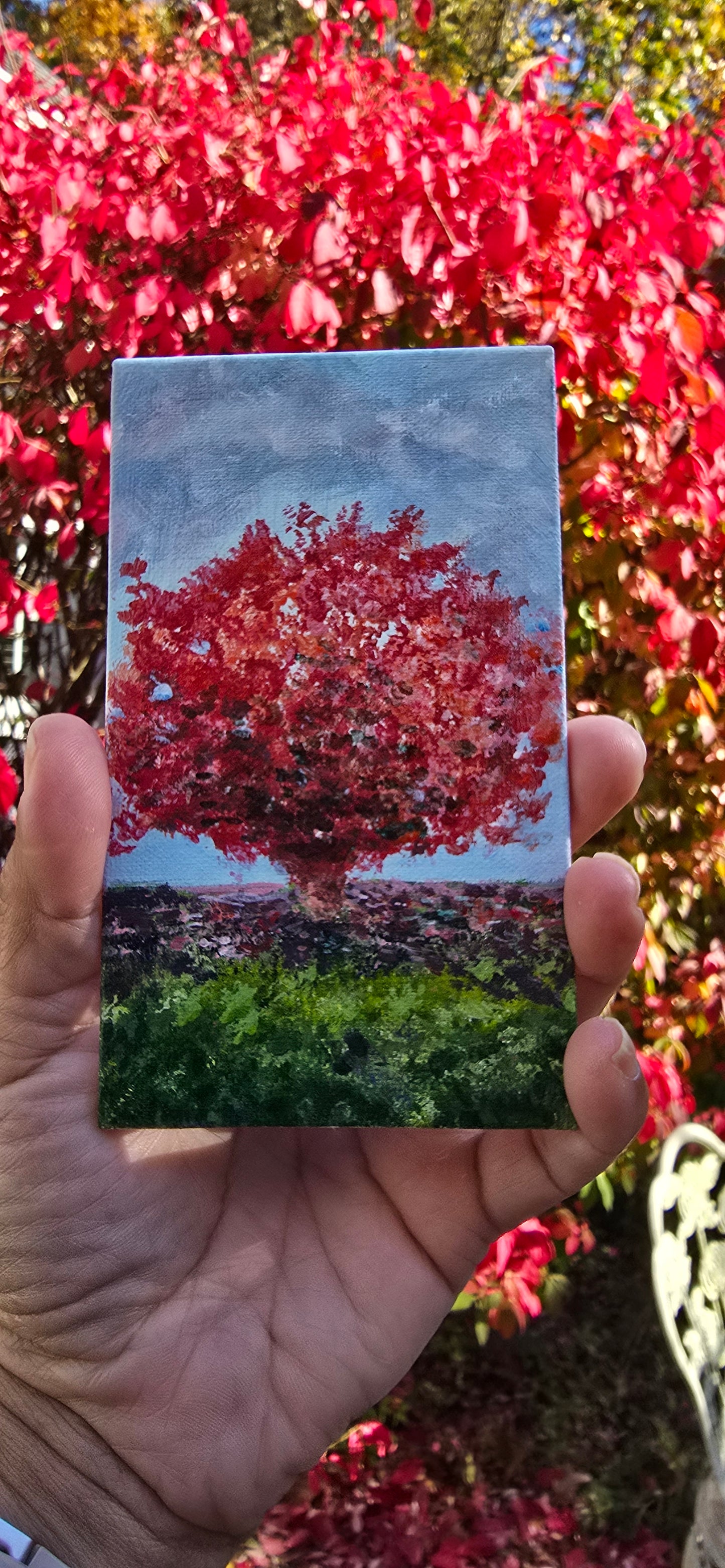 Title: Red Bush | 3x5" Linen Panel | Oil Painting