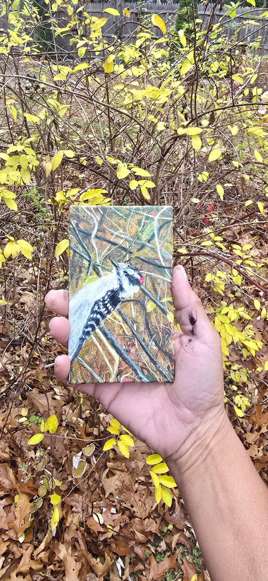 Title: Downy Woodpecker | 3x5" Linen Panel | Oil Painting