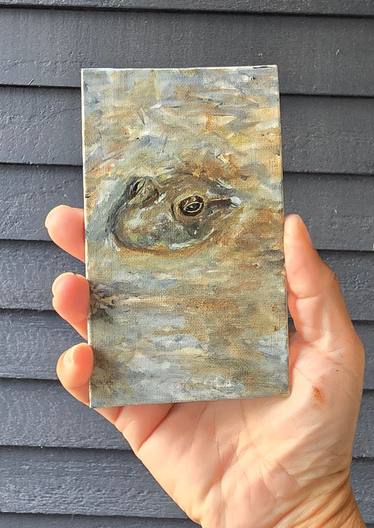 Title: Peering Frog | 3x5" Linen Panel | Oil Painting