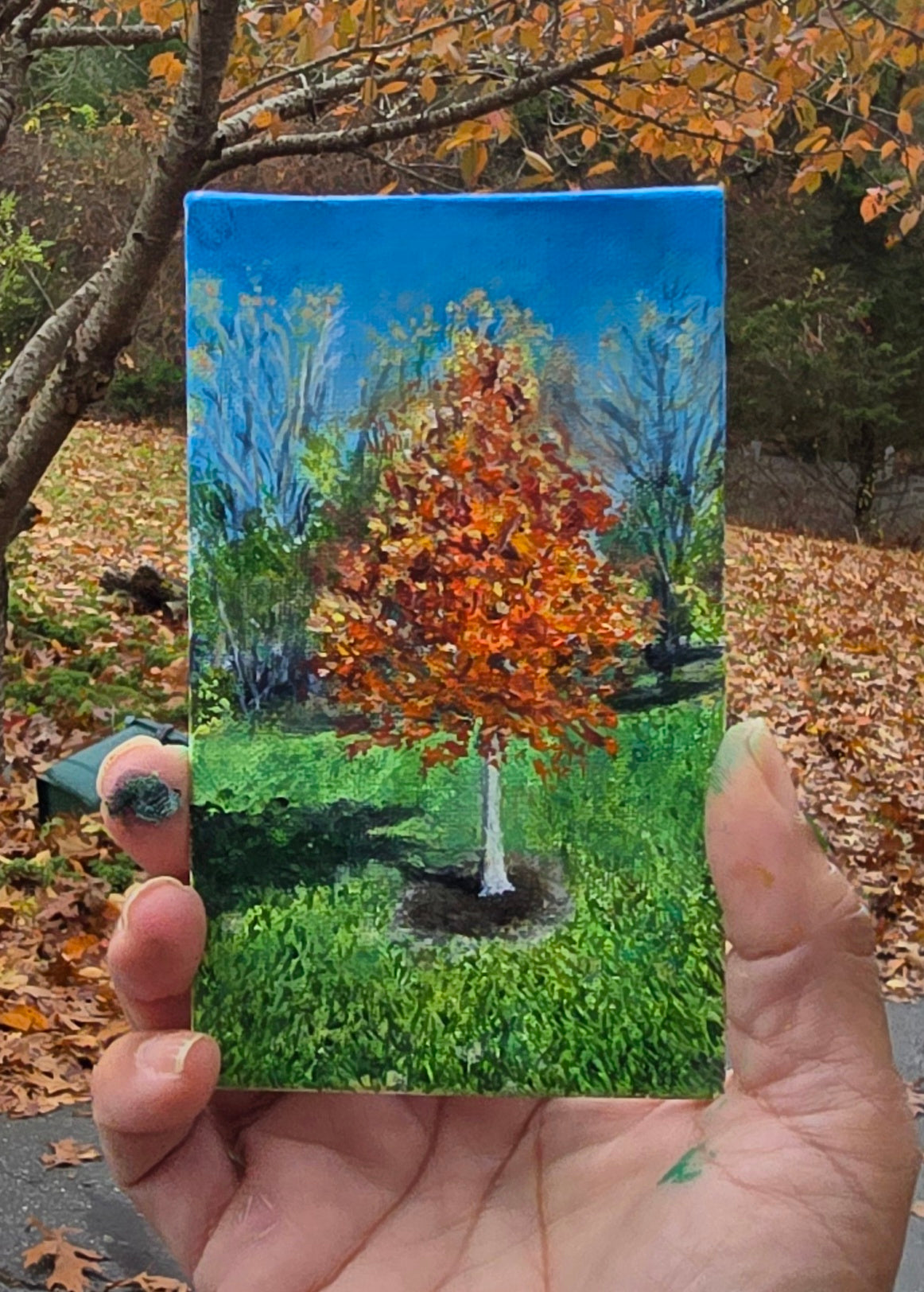 Title: Fall Tree | 3x5" Linen Panel | Oil Painting