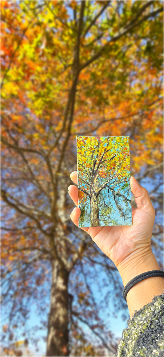 Title: Light Dance on Fall Tree | 3x5" Linen Panel | Oil Painting