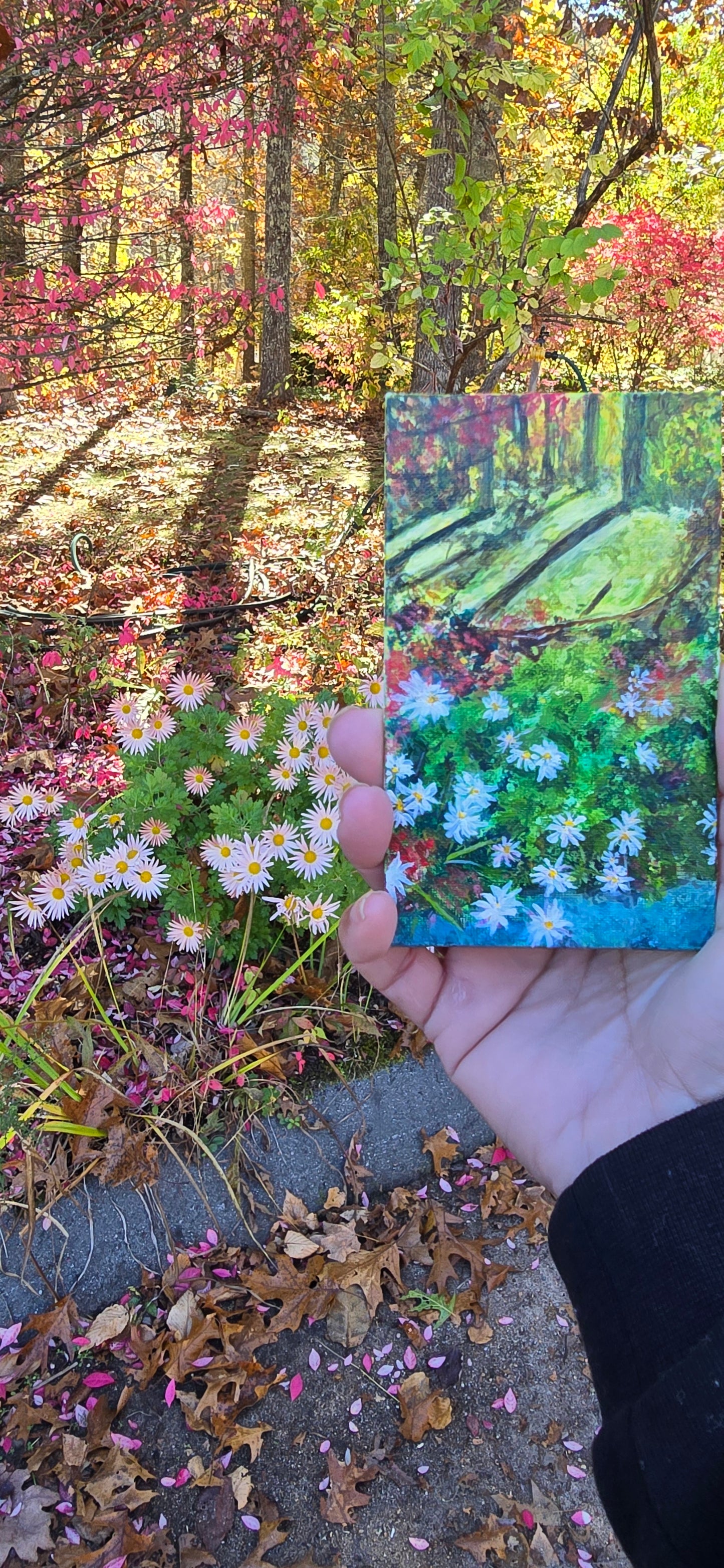 Hand holding a small rectangular object with images of nature scenes, including trees and flowers, on a natural background.